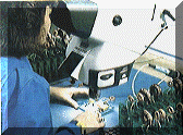 Micros.gif (16506 bytes)