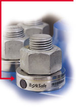 BoltSafe