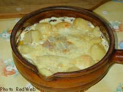 Chicons au gratin